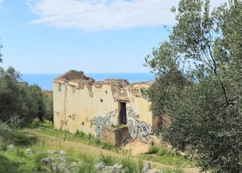 20250320_120920.jpg - Casale sentiero Degli Infreschi, Camerota - foto 6