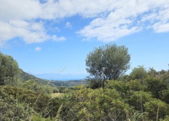 20250320_120156.jpg - Casale sentiero Degli Infreschi, Camerota - foto 8