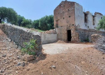 1c9a00c2-722e-4fb5-b2db-61039f1c9705.jpg - Casale sentiero Degli Infreschi, Camerota - foto 12