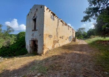 25c1eb32-aca3-4034-9e5b-7a3caef38879.jpg - Casale sentiero Degli Infreschi, Camerota - foto 14