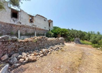 b5d187bc-cb7b-499c-b70b-ac294cc0d3e8.jpg - Casale sentiero Degli Infreschi, Camerota - foto 17