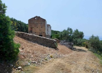 fe6c1c65-6eb2-4c71-9e3e-2e00eb0c5b9b.jpg - Casale sentiero Degli Infreschi, Camerota - foto 19