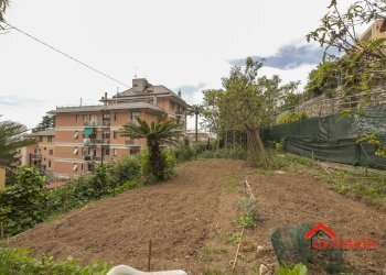 2.3 orto.jpg - Box Viale Villa Chiesa, Genova - foto 19