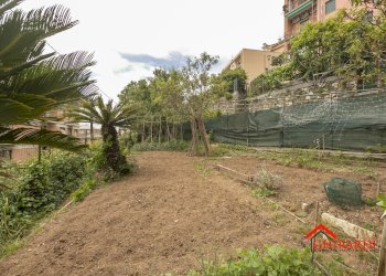 2.4 orto.jpg - Box Viale Villa Chiesa, Genova - foto 20