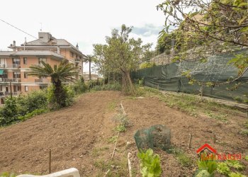 2.6 orto.jpg - Box Viale Villa Chiesa, Genova - foto 22