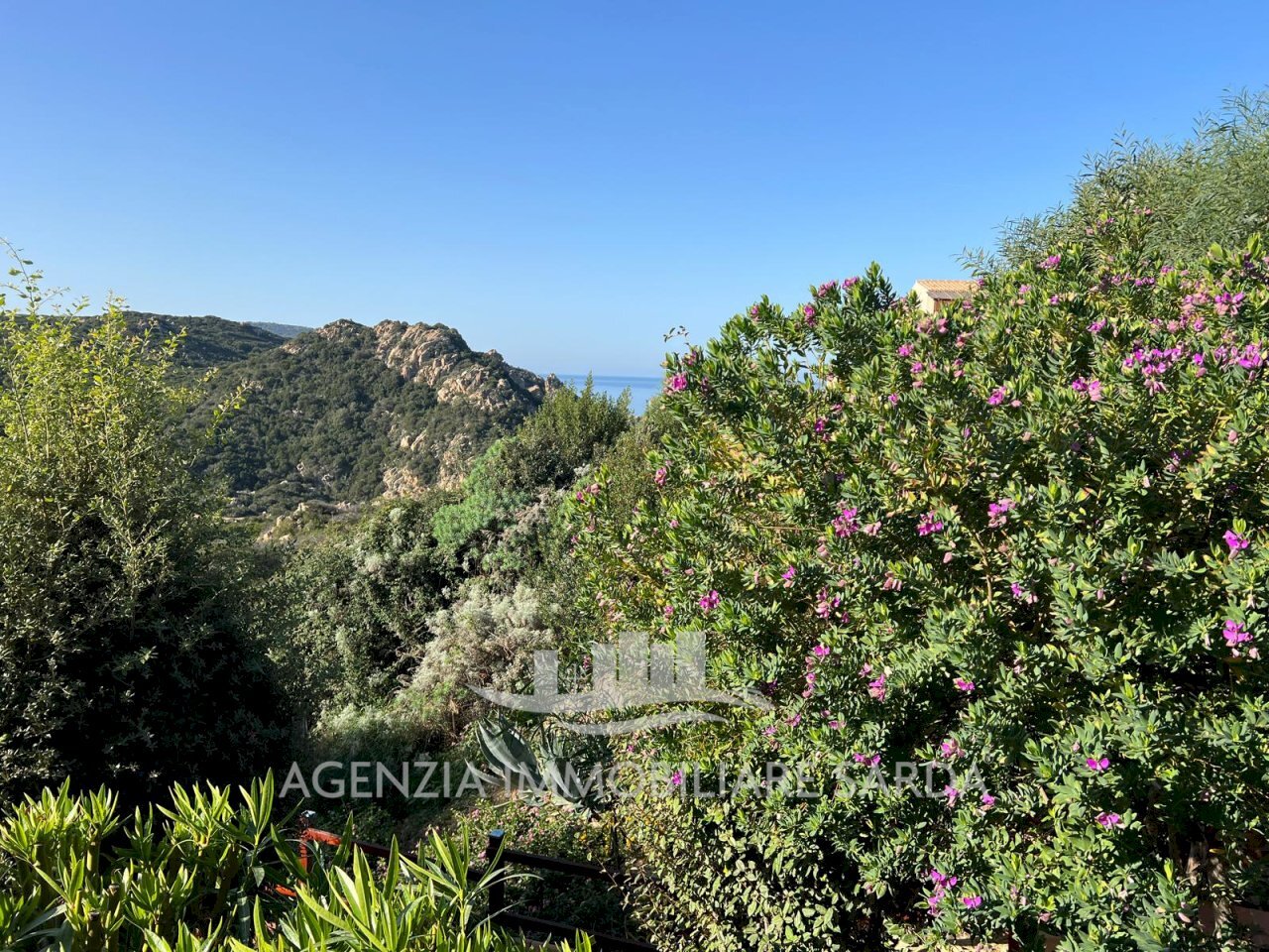 Immagine WhatsApp 2024-11-05 ore 19.46.31_b2c205fc - Bilocale Trinità d'Agultu e Vignola - foto 1