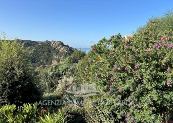 Immagine WhatsApp 2024-11-05 ore 19.46.31_48c0a9a4 - Bilocale Trinità d'Agultu e Vignola - foto 22