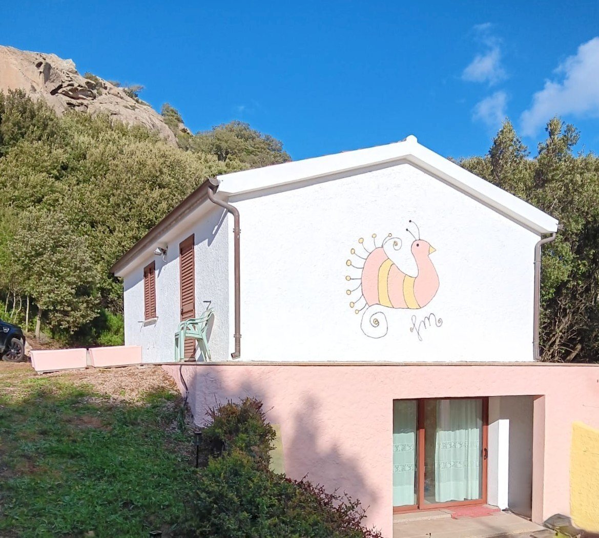 Immagine WhatsApp 2025-08-12 ore 10.18.03_3778748d - Casale Luogosanto - foto 1