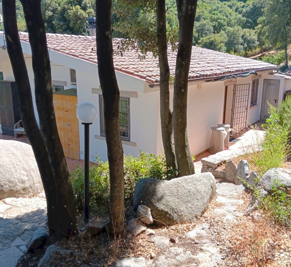 Immagine WhatsApp 2025-08-12 ore 10.18.25_e46e6156 - Casale Luogosanto - foto 2