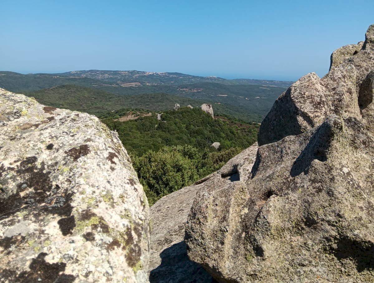 Immagine WhatsApp 2025-08-12 ore 10.18.11_ebb2b833 - Casale Luogosanto - foto 3