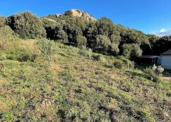 Immagine WhatsApp 2025-08-12 ore 10.18.29_abecebb2 - Casale Luogosanto - foto 4