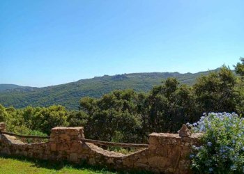 Immagine WhatsApp 2025-08-12 ore 10.21.47_a6713ab8 - Casale Luogosanto - foto 6