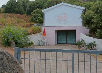 Immagine WhatsApp 2025-08-12 ore 10.14.07_f5ad93ed - Casale Luogosanto - foto 9