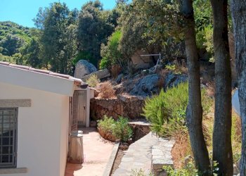 Immagine WhatsApp 2025-08-12 ore 10.18.27_9b9b82a8 - Casale Luogosanto - foto 11