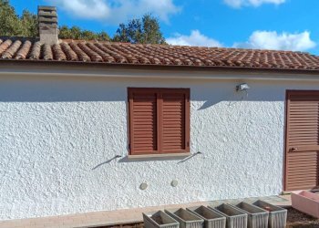 Immagine WhatsApp 2025-08-12 ore 10.17.26_99a4e7eb - Casale Luogosanto - foto 12