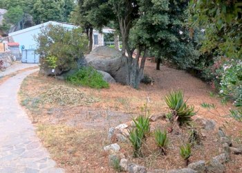 Immagine WhatsApp 2025-08-12 ore 10.18.09_78456bbd - Casale Luogosanto - foto 27