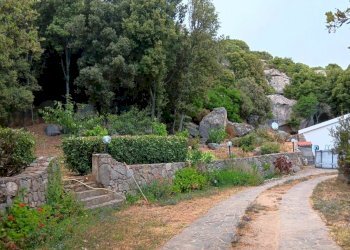 Immagine WhatsApp 2025-08-12 ore 10.18.28_8db58c9b - Casale Luogosanto - foto 29