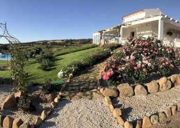 IMG_2596.jpeg - Villa Badesi - foto 3