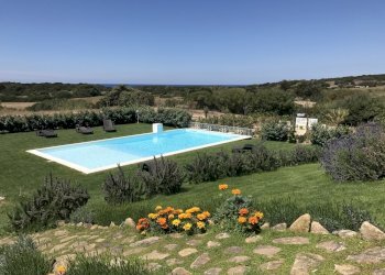 IMG_2304.jpeg - Villa Badesi - foto 15