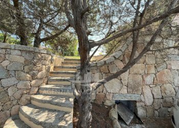 Immagine WhatsApp 2025-08-07 ore 15.01.23_0d3c0802 - Villa Santa Teresa Gallura - foto 4