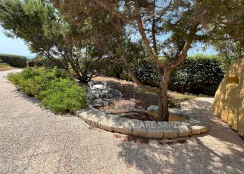 Immagine WhatsApp 2025-08-07 ore 15.02.11_cd50f300 - Villa Santa Teresa Gallura - foto 5