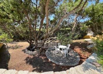 Immagine WhatsApp 2025-08-07 ore 15.02.12_42a05412 - Villa Santa Teresa Gallura - foto 8