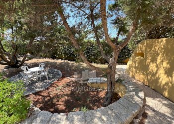 Immagine WhatsApp 2025-08-07 ore 15.02.12_9db2ff22 - Villa Santa Teresa Gallura - foto 25