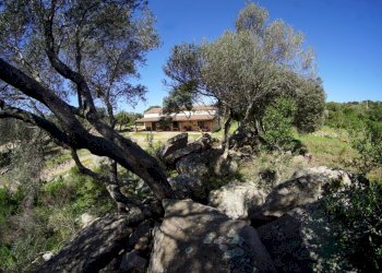 Immagine WhatsApp 2025-07-07 ore 08.54.14_e81e9828 - Casale Luogosanto - foto 1