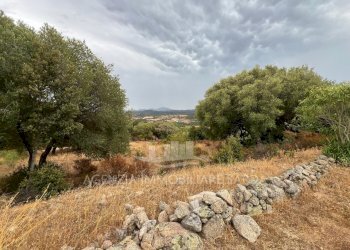 WhatsApp Image 2025-11-07 at 17.24.59 (8).jpeg - Casale Luogosanto - foto 7