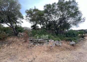 WhatsApp Image 2025-11-07 at 17.25.01 (10).jpeg - Casale Luogosanto - foto 8