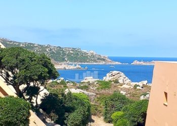 Immagine WhatsApp 2025-07-07 ore 08.38.31_fb138eec - Bilocale Santa Teresa Gallura - foto 18