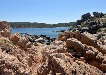 Immagine WhatsApp 2025-07-07 ore 15.09.04_c825a52a - Bilocale Santa Teresa Gallura - foto 22