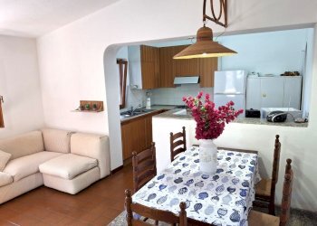 20250527_175051.jpg - Casa indipendente Trinità d'Agultu e Vignola - foto 12