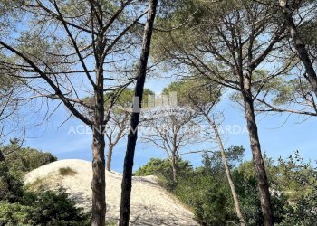 WhatsApp Image 2025-12-16 at 14.46.26 (4).jpeg - Appartamento Alghero - foto 29