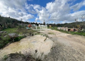 WhatsApp Image 2026-02-14 at 14.22.34 (3).jpeg - Villa Alghero - foto 10