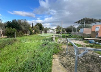 WhatsApp Image 2026-02-14 at 14.22.35 (6).jpeg - Villa Alghero - foto 15