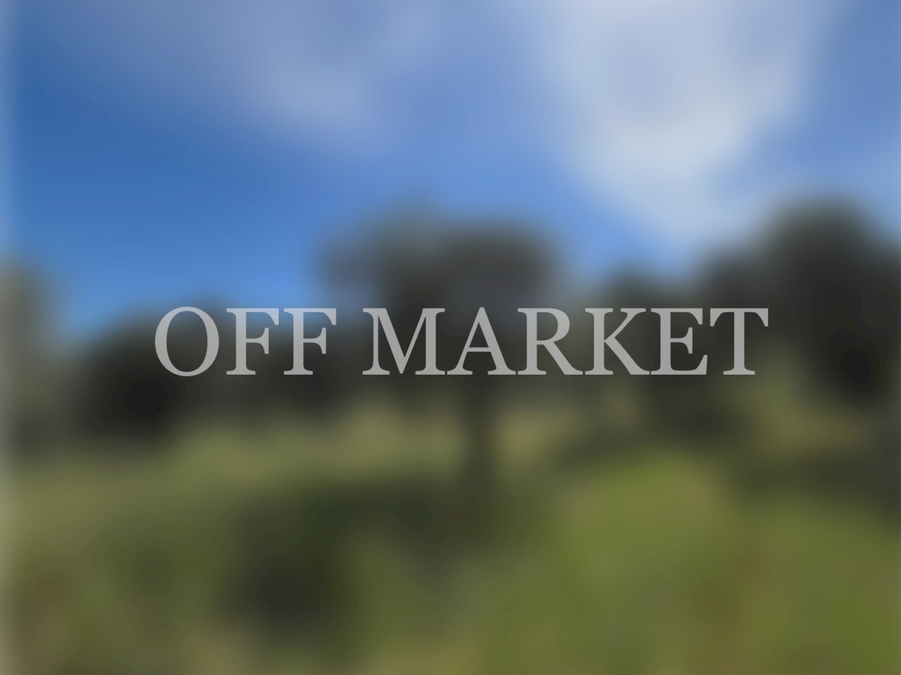 offmarketVILLA2.jpg - Villa Alghero - photo 1