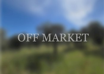 offmarketVILLA2.jpg - Villa Alghero - foto 1