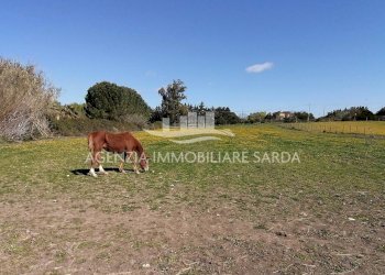 WhatsApp Image 2025-12-16 at 14.46.22 (4).jpeg - Villa Alghero - foto 13