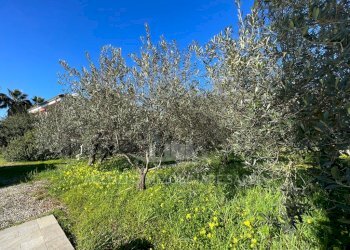 2c91809b-2d97-4122-a5d6-81f4bcf16388.jpg - Villa Alghero - foto 6