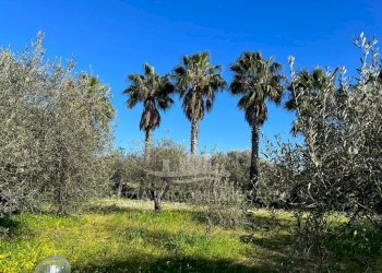 55cc41e2-b49c-459b-8a7c-dde9746d7858.jpg - Villa Alghero - foto 9