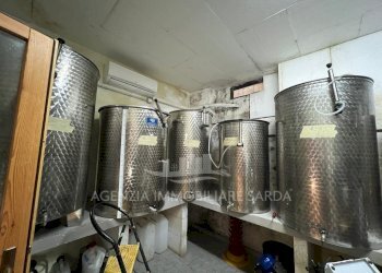 3a348439-89c1-4cbc-b1a6-9d9310fc0a75.jpg - Villa Alghero - foto 30