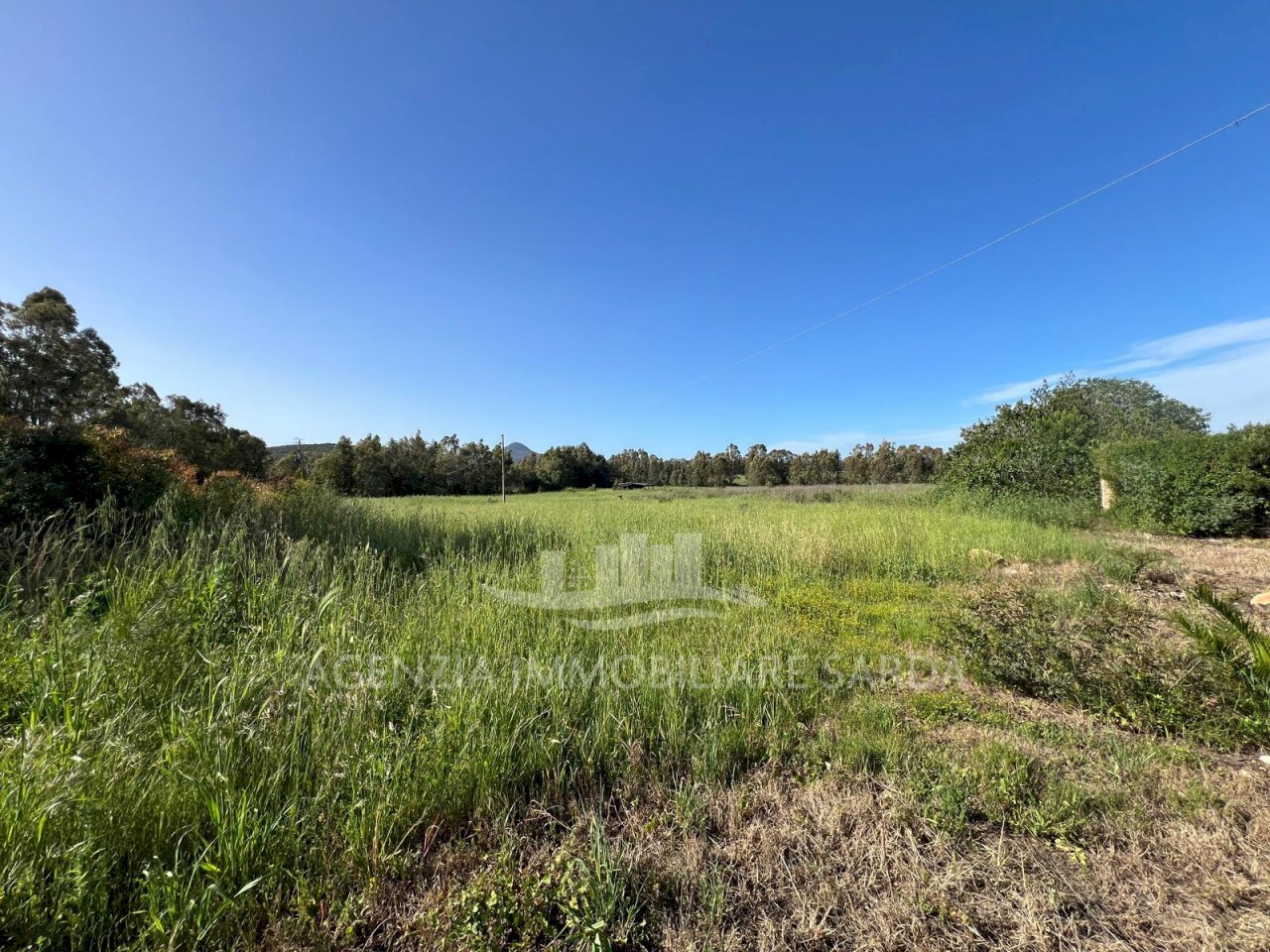 Immagine WhatsApp 2025-04-23 ore 11.02.51_962a0067 - Agricultural land Alghero - photo 2