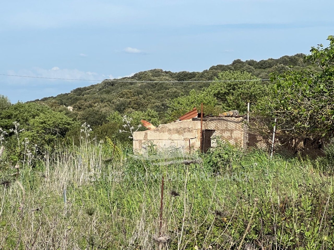 Immagine WhatsApp 2025-04-23 ore 11.02.51_6b2204dc - Agricultural land Alghero - photo 3