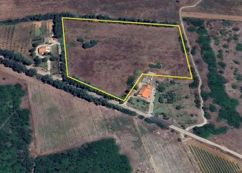 confini.jpg - Agricultural land Alghero - photo 1