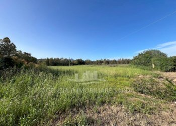 Immagine WhatsApp 2025-04-23 ore 11.02.51_962a0067 - Agricultural land Alghero - photo 2