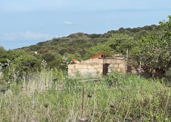 Immagine WhatsApp 2025-04-23 ore 11.02.51_6b2204dc - Agricultural land Alghero - photo 3