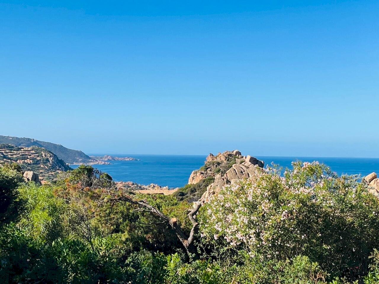 WhatsApp Image 2026-02-19 at 12.12.43.jpeg - Villa Trinità d'Agultu e Vignola - foto 1