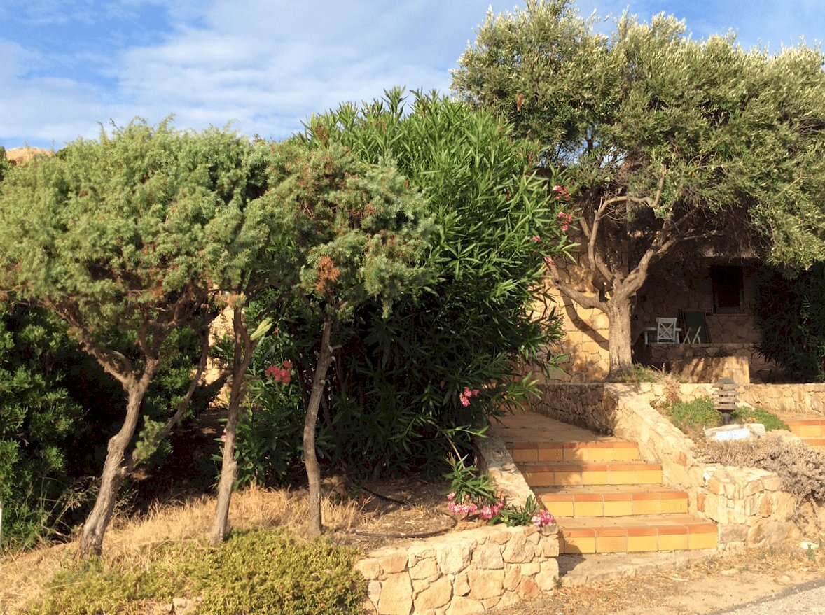 01__ingresso.png - Villa Trinità d'Agultu e Vignola - foto 3