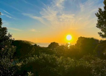 WhatsApp Image 2026-02-19 at 12.12.43 (1).jpeg - Villa Trinità d'Agultu e Vignola - foto 2